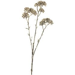 Větvička Řebříček champagne, 43 cm 