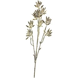 Větvička Tořice champagne, 46 cm 