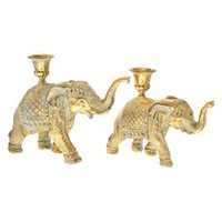 Image Ostatní zvířata